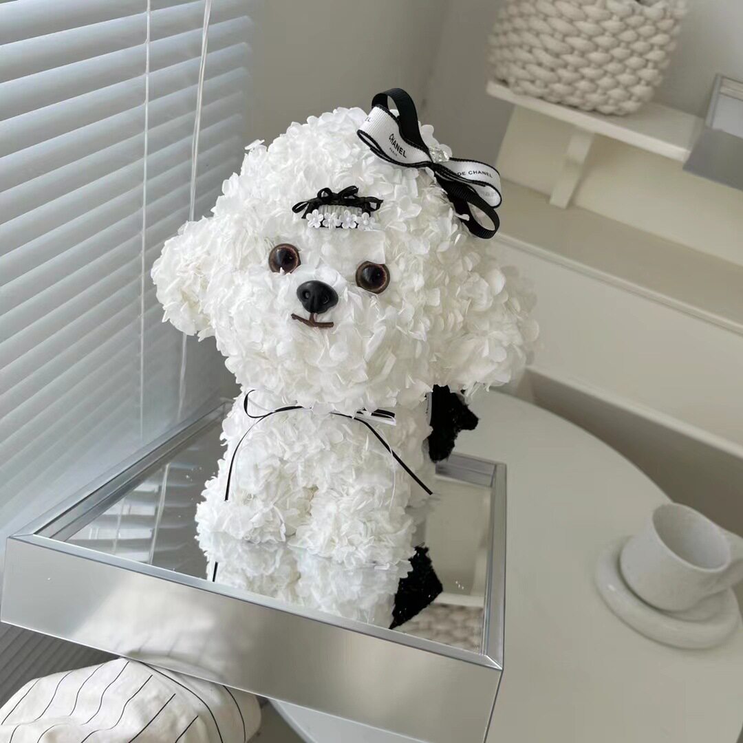 女神节马尔济斯犬永生花可爱比熊狗狗绣球摆件礼盒求婚告白送女友