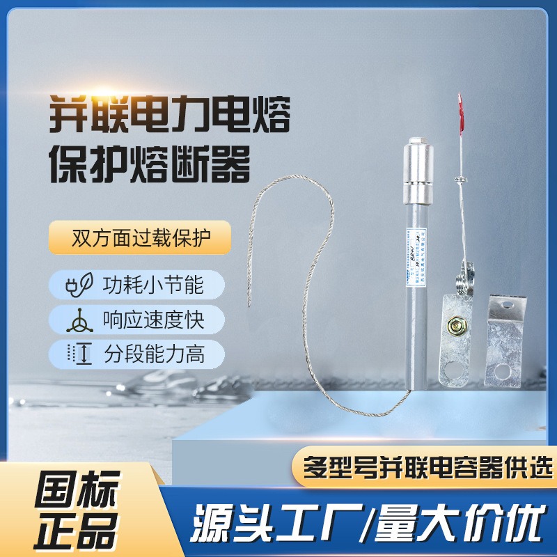 并联电容器单台保护专用高压熔断器BRW(BRN BR2)-7.2KV(10KV)/50P