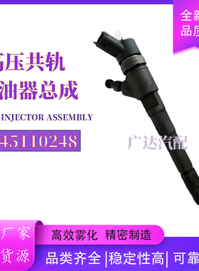 0445110248喷油器总成适用于IVECO Daily504088823高压油泵