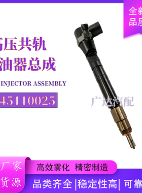 0445110025柴油喷油器 0445 110 025 适用于A6110700687