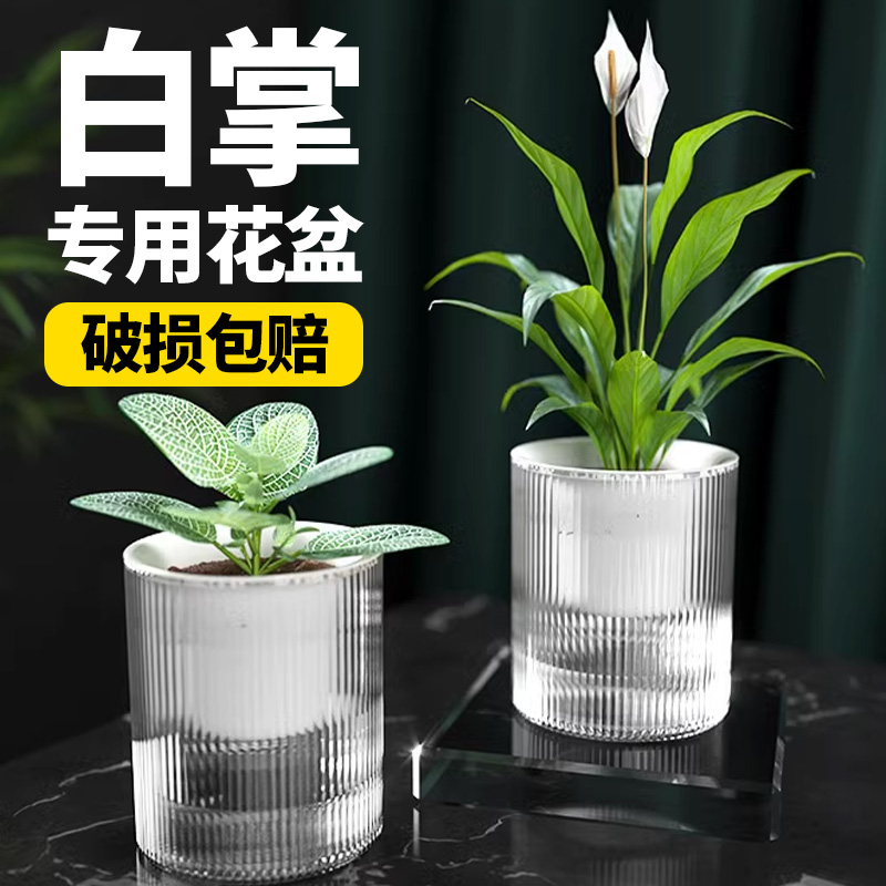 白掌专用花盆简约桌面水培绿植物透明塑料器皿绿萝虎皮兰竹芋专用