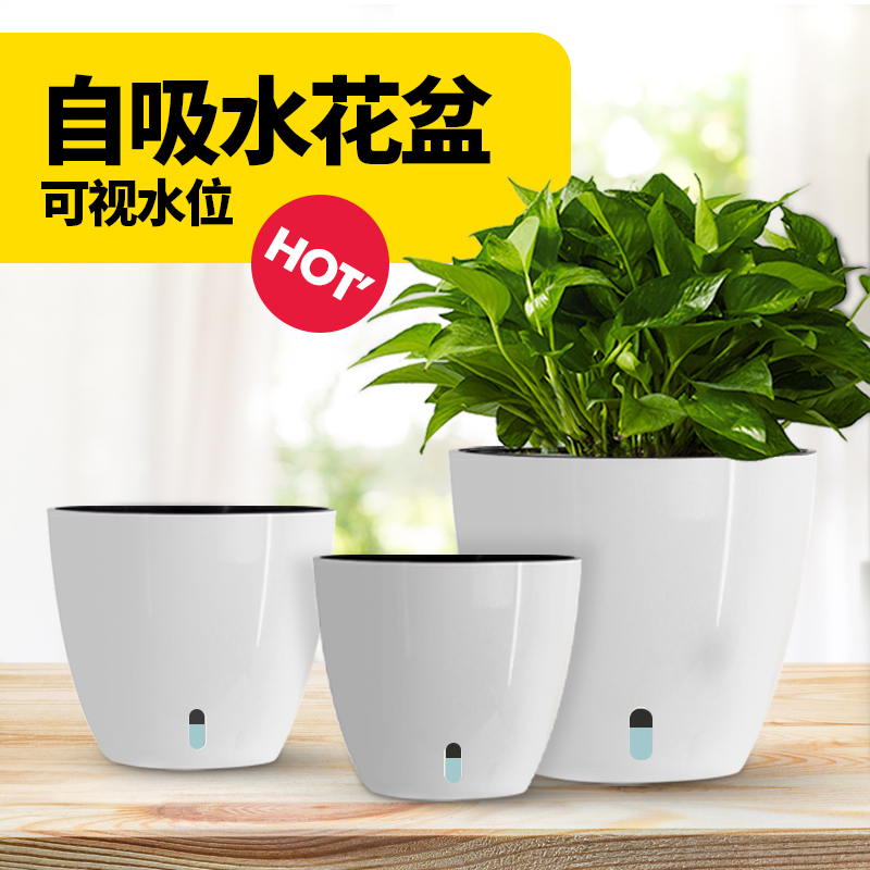 绿萝自动吸水懒人免浇水花盆