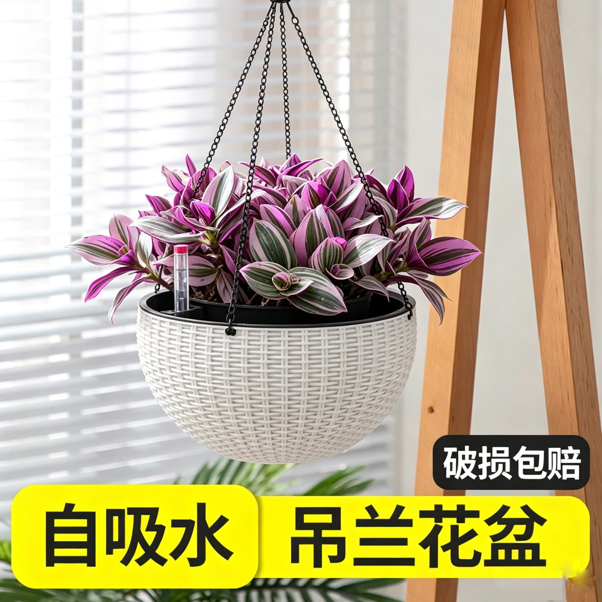 油画吊兰专用花盆懒人自动吸水图片