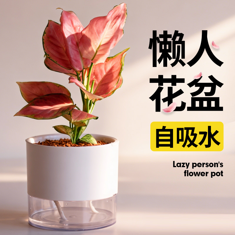 懒人专用自动吸水花盆专利技术