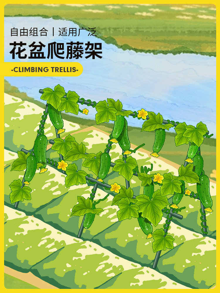 黄瓜爬藤架豆角蔬菜架杆植物固定支撑杆架子丝瓜番茄种菜专用架子