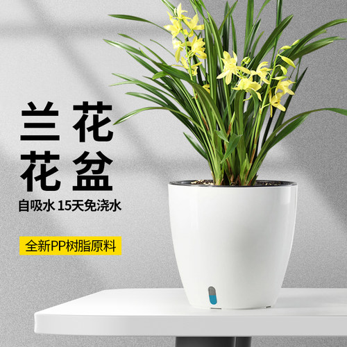兰花专用大花盆免浇水花盆家用