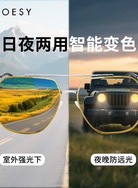 洛伊士新款偏光变色太阳镜