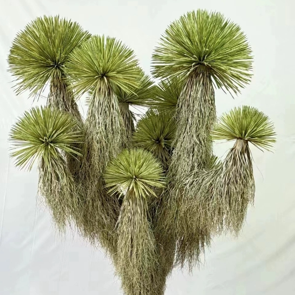 仿真植物大型稻草人假树橱窗美陈绿植造景样龙血树沙漠景观仿真树