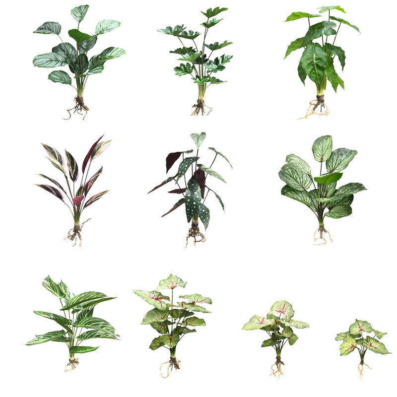 仿真竹芋叶苹果叶彩色芋朱蕉叶红掌叶海棠叶把束绿植室内造景装饰,鲜花速递/花卉仿真/绿植园艺,仿真绿植,淘宝优惠券,粉丝福利购,淘宝优惠卷