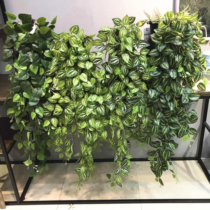 仿真藤条藤蔓常春藤把束壁挂装饰造景绿植假叶子冰芋叶眼眉叶