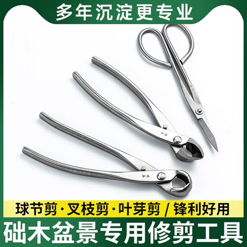 修枝剪球节剪盆景工具叶芽剪叉A枝剪树瘤树节球形钳盆景造型工具