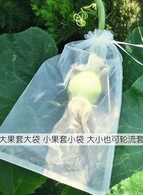 防虫保护袋水果树上包装袋果实x袋套袋专用套果袋包果袋批把桃葡&