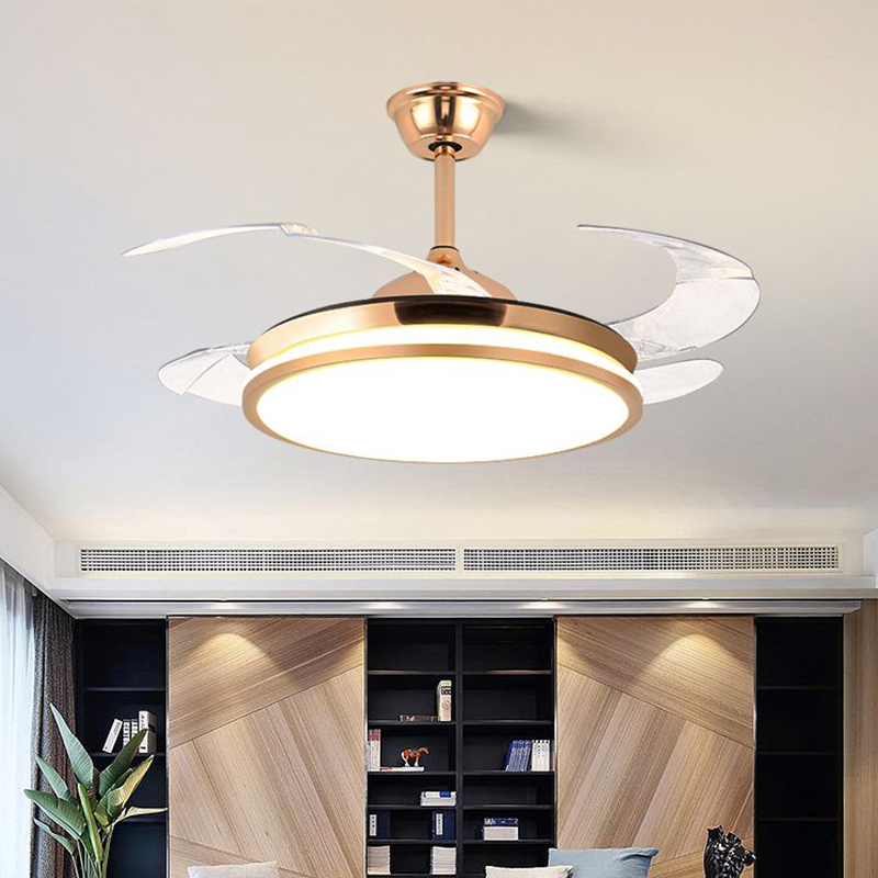 隐形风扇灯吊扇灯2024新款家用客E厅餐厅卧室吸顶带电风扇吊灯一