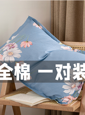 100纯棉枕套一对装48cm74全棉枕头套大号家用枕Q皮枕头皮单人406