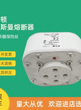 全新快速熔断器保险170M7066 170M7069 170M7078 170M7079