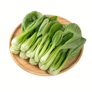 山姆会员超市代购 上海青苗 600g新鲜蔬菜 叶子菜 青菜苗