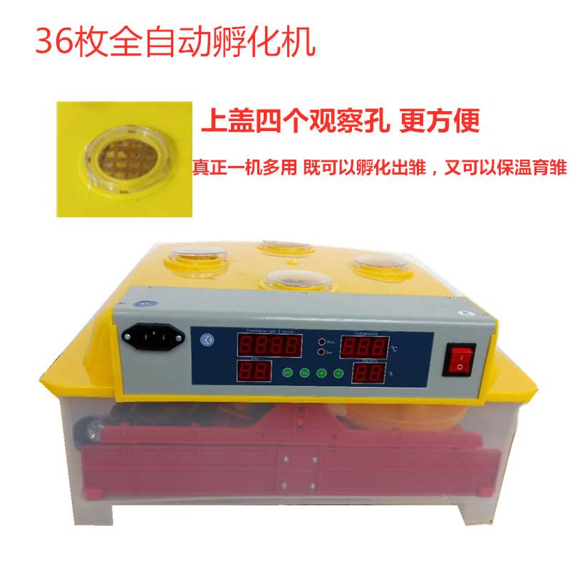 孵化机小型全自动孵蛋玩具出口款放36枚鸡蛋的鸡鸭鹅蛋48枚孵化器图片