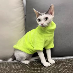 秋冬保暖无毛猫咪衣服高领毛衣打底柔软斯芬克斯德文阿比猫衣服