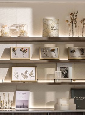 自然科学主题陈设软装样板房书架书柜花艺植物标本摆件道具装饰书