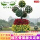 厂家供应景观花树骨架画家立体组合绿化造型花坛塑料垂直绿化花球