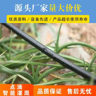 16单孔贴片式草莓滴灌带农用滴水大棚菜地浇水神器果园雾化微喷带