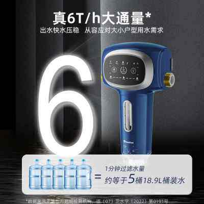 惠尔顿全屋防漏水智能AI保护型前置过滤器家用自来水自动冲洗开关