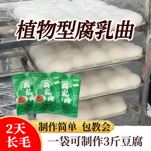 正宗曲子腐乳发酵菌粉豆豉臭豆腐