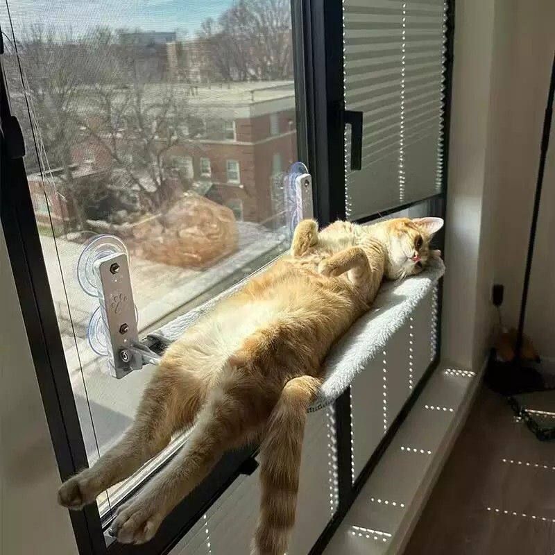 吸盘固定猫吊床 四季通用猫窝 悬挂式宠物猫床 阳台晒太阳猫床 可