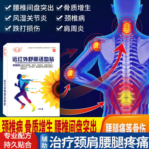 综合辅助治疗腰腿疼痛10片膏贴