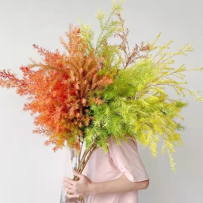 鲜切花束黄金香室内水培绿植物