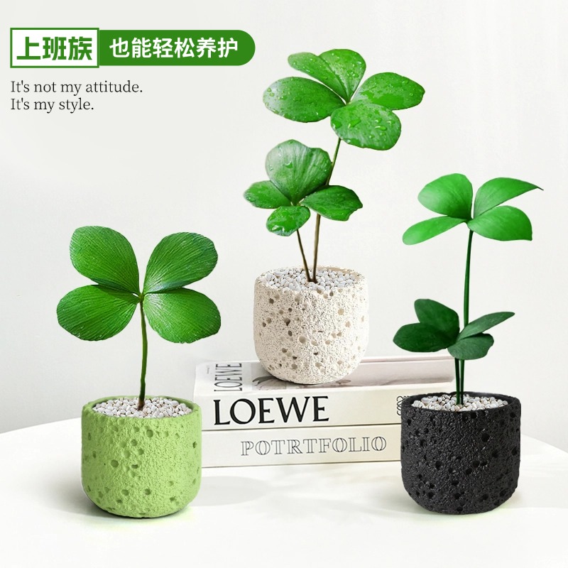 婉芳幸运四叶草迷你盆栽绿植