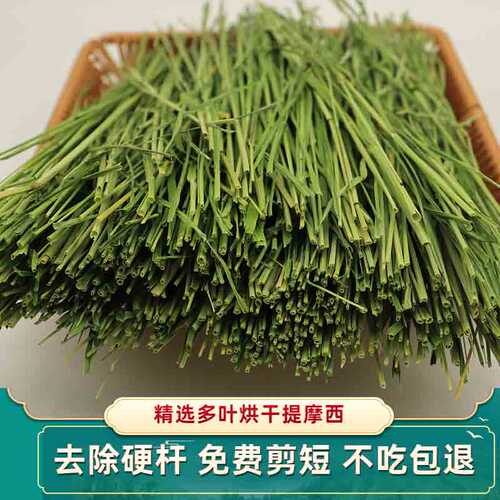 当季新草烘干头茬多叶兔子荷兰猪