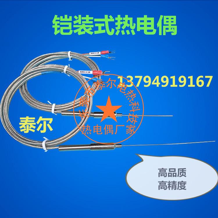 J型铠装热电偶WRNJ-191/E型K型热电偶探针热电偶温度传感器感温线