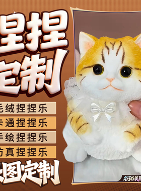 捏捏乐定制解压力球自制作硅胶tpr慢回弹手工diy模具logo减压玩具