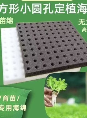 方形小圆孔育苗绵块无土栽培种植海棉蔬菜水培种植生长棉定植专用