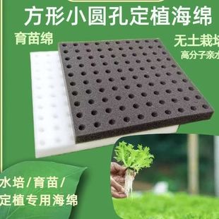 方形小圆孔育苗绵块无土栽培种植海棉蔬菜水培种植生长棉定植专用