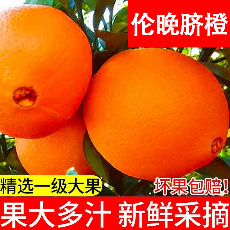 重庆伦晚DE脐橙应当季新鲜手剥甜橙子孕妇水果包邮奉节非赣秭南归
