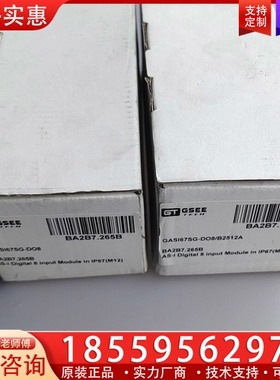 GASI67SG-D08模块俩个 ~询价