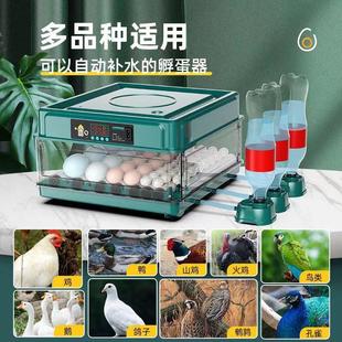 全自动小型家用芦丁鸡小鸡孵蛋器孵化箱 源头工厂 跨境直销新款