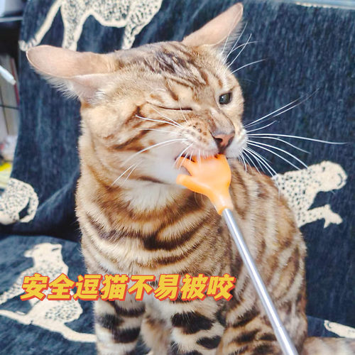 不求人多功能拉伸痒痒挠手握抓痒神器抓背挠痒便捷可伸缩撸逗猫棒