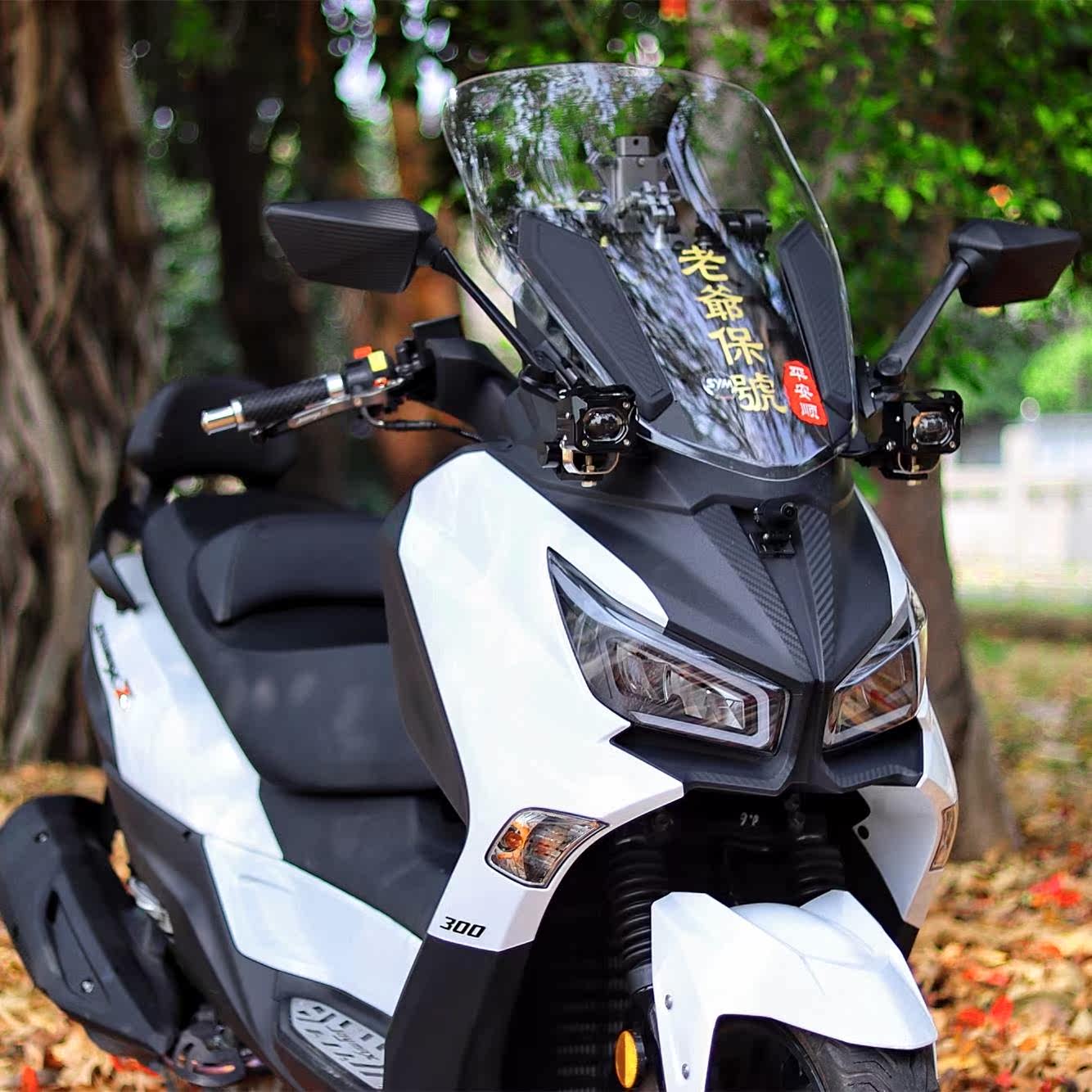 三阳九妹z300后视镜前移多功能一体支架joymaxz plus九妹plus改装