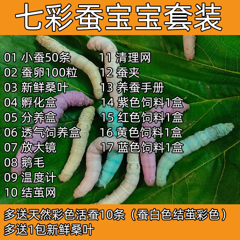 七彩蚕宝宝套装学生养彩色蚕科学实验蚕宝宝套餐彩色蚕卵新鲜桑叶
