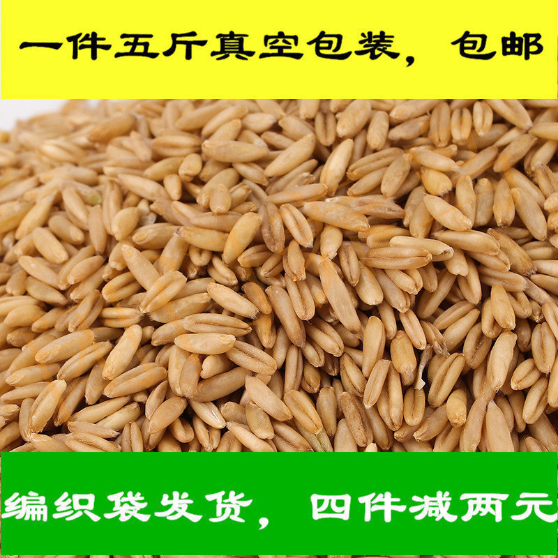 燕麦米/鸟食/鸟粮/雀麦/野麦/燕麦仁/虎皮鹦鹉/牡丹玄风五件包邮图片