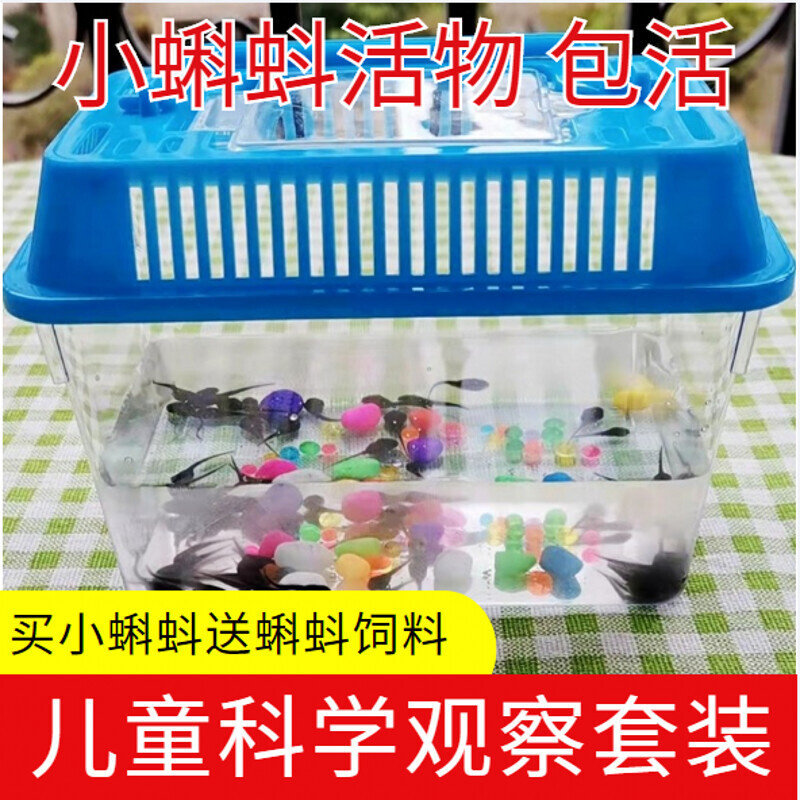 水族宠物小蝌蚪苗蝌蚪套装饲料青蛙类颗粒饲料幼儿园观察蝌蚪活物