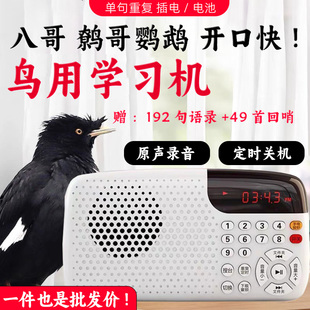 鸟用学习机鹦鹉八哥学说话神器复读机教小鸟学说话机鹩哥语言训练