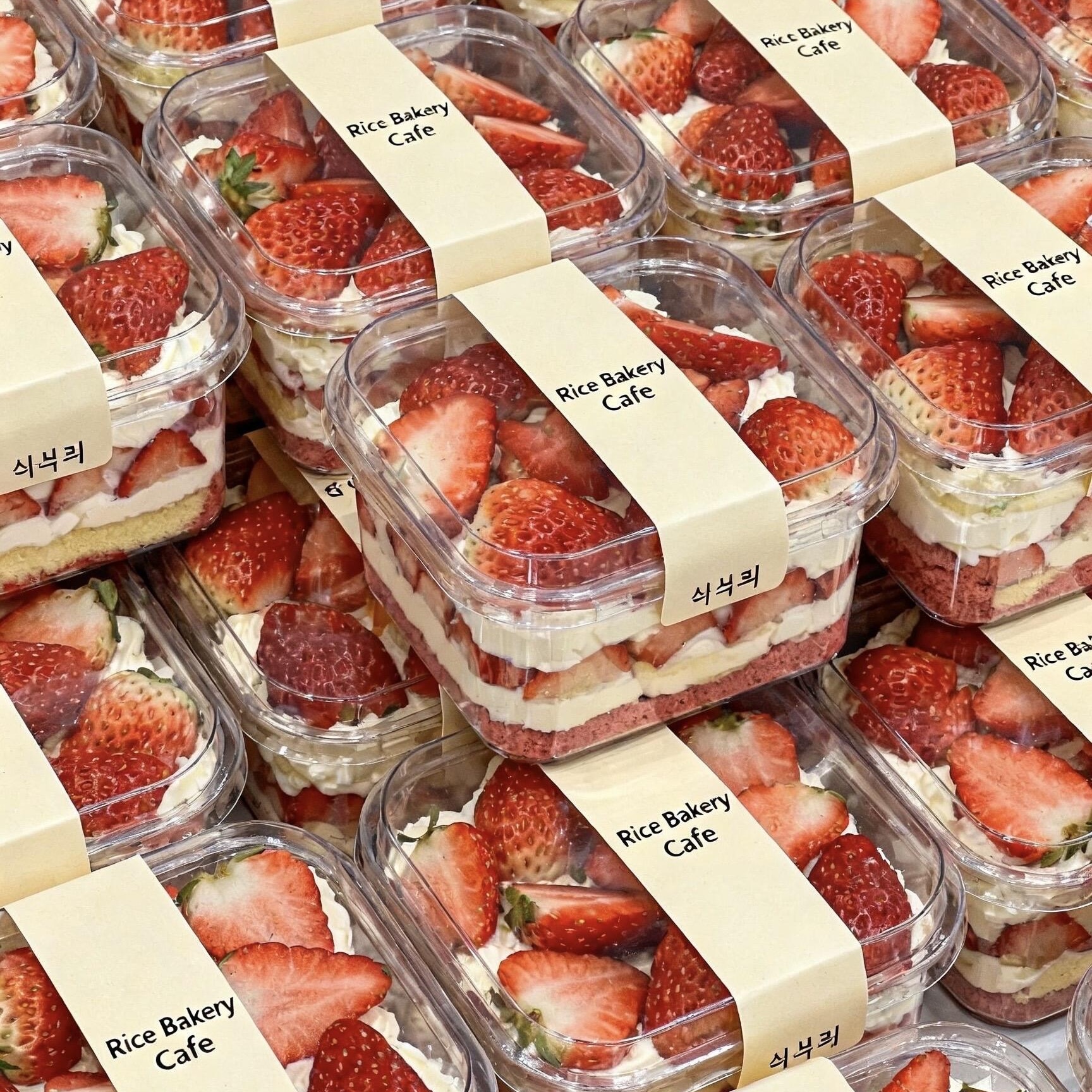 草莓奶油盒子芒果蓝莓慕斯蛋糕包装盒水果提拉米苏甜品烘焙打包盒