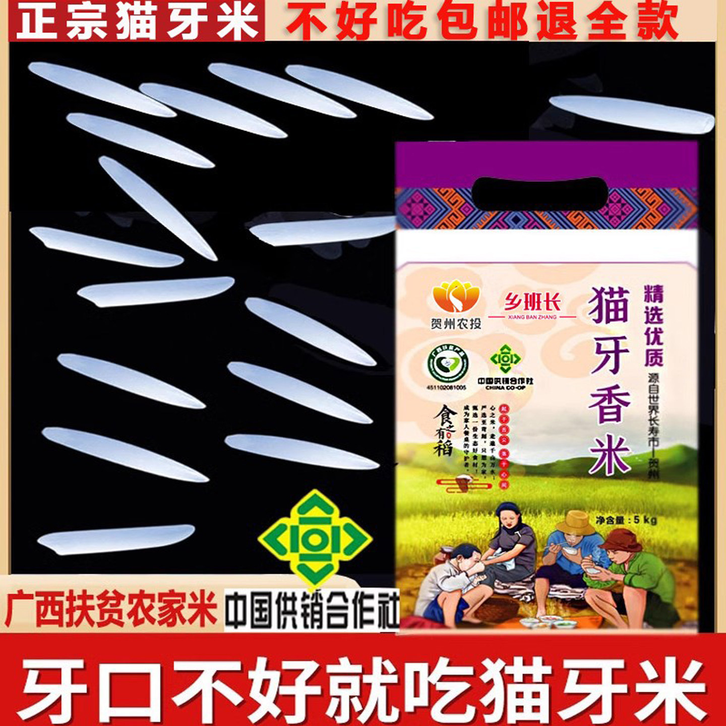 2025年新米正宗猫牙香米长粒丝苗大米晚稻超长油粘米象牙煲仔炒饭,粮油调味/速食/干货/烘焙,大米,淘宝优惠券,粉丝福利购,淘宝优惠卷