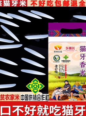 2025年新米正宗猫牙香米长粒丝苗大米晚稻超长油粘米象牙煲仔炒饭