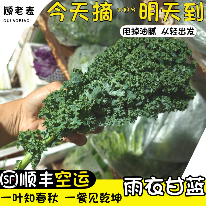 空运次日达羽衣甘蓝新鲜沙拉