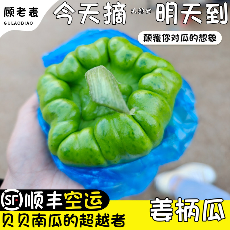 顺丰空运姜柄瓜姜饼瓜嫩南瓜新鲜南瓜小瓜云南特产新鲜甜小南瓜